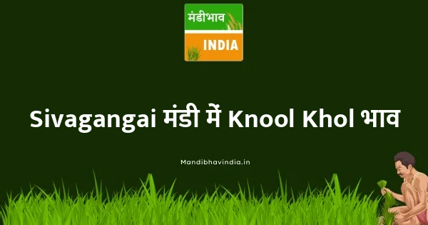 Knool Khol भाव